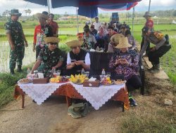 Wujudkan Ketahanan Pangan Nasional, DKPP Sumenep Gelar Gerakan Tanam Padi