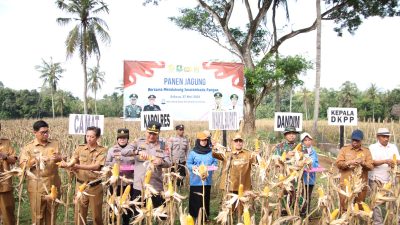 Panen Raya Jagung Jadi Simbol Transformasi Pertanian Sumenep