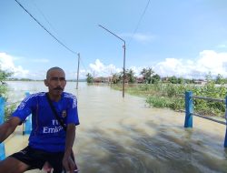 Lahan Pertanian di Sumenep Terendam Banjir, Puluhan Hektare Sawah Terancam Gagal Panen