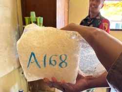 Nelayan Masalembu Sumenep Temukan 35 Kg Sabu di Laut