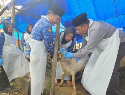 DKPP Sumenep Menjaga Syariat dan Kesehatan Hewan Kurban Menjelang Idul Adha