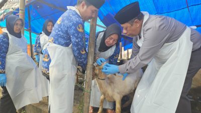 DKPP Sumenep Menjaga Syariat dan Kesehatan Hewan Kurban Menjelang Idul Adha