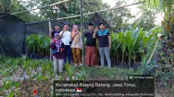 Sumenep Siap Jadi Penopang Industri Kelapa Jatim, Puluhan Ribu Bibit Bersertifikat Disiapkan untuk Hilirisasi