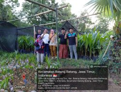 Sumenep Siap Jadi Penopang Industri Kelapa Jatim, Puluhan Ribu Bibit Bersertifikat Disiapkan untuk Hilirisasi