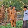 Jaga Reputasi Tembakau Sumenep, Pemkab Kawal Kualitas Sejak Persemaian Bibit Prancak 95