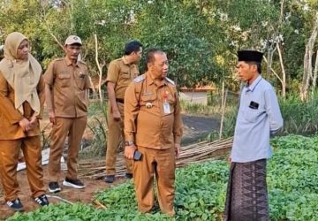 Jaga Reputasi Tembakau Sumenep, Pemkab Kawal Kualitas Sejak Persemaian Bibit Prancak 95