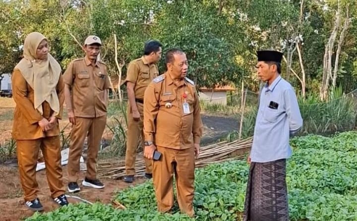 Jaga Reputasi Tembakau Sumenep, Pemkab Kawal Kualitas Sejak Persemaian Bibit Prancak 95