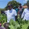 Pemkab Sumenep Kunci Harga Dasar Tembakau 2026, Petani Punya “Tameng” Hadapi Permainan Harga